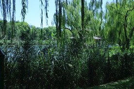 公园风景 