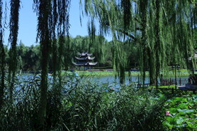公园风景 