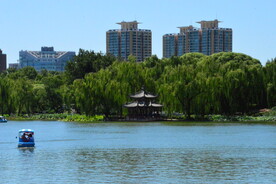 公园风景