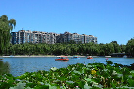 公园风景