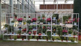 花卉格子多宝阁白色花架