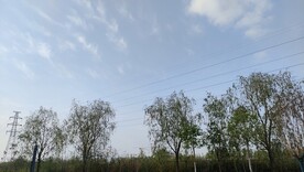 蓝天白云树木高压线