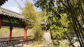 湖北十堰秦巴植物园复古建筑竹林