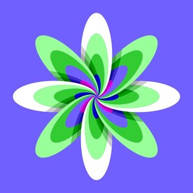 旋涡立体花朵