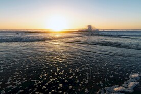 海面上的日出