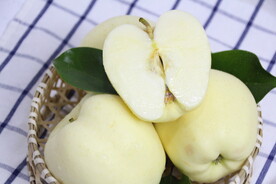 黄元师
