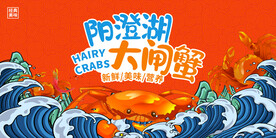阳澄湖大闸蟹