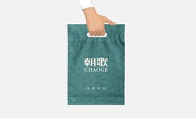手提袋样机