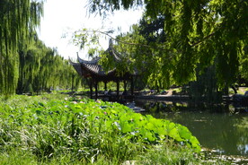 公园风景