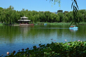 公园风景 