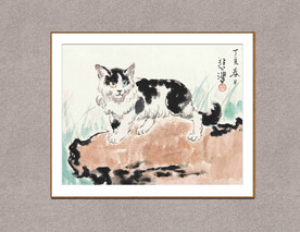 猫
