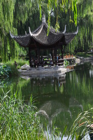 公园风景 