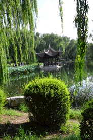 公园风景