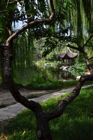 公园风景