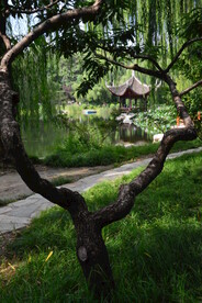 公园风景 