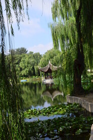 公园风景