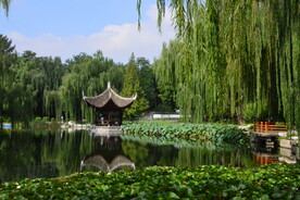 公园风景