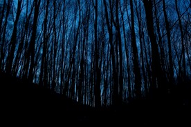 夜晚
