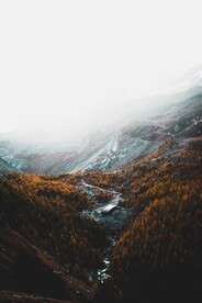 山