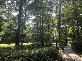 公园林荫小路
