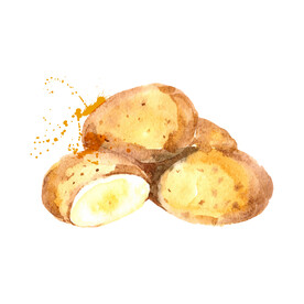手绘蔬菜  