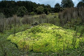 山林素材