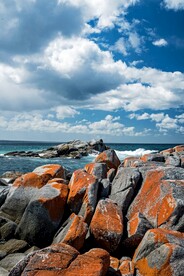 海景