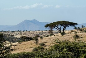 草原风景