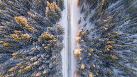 冬天雪景