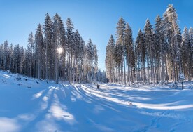 冬天雪景