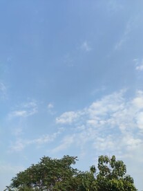 午后晴空背景