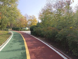 公园  园林  