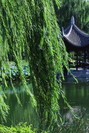 公园风景 