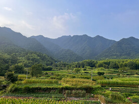 大山