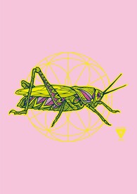 蝗虫蚱蜢昆虫