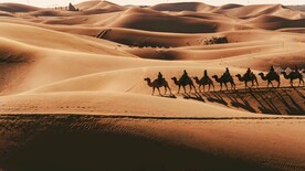 沙漠驼队