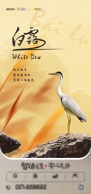白露海报