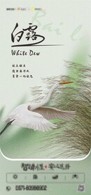 白露海报