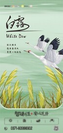 白露海报