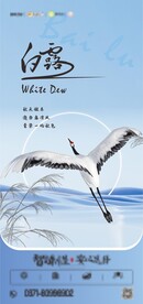 白露海报