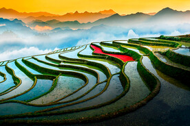 梯田