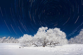 雪景