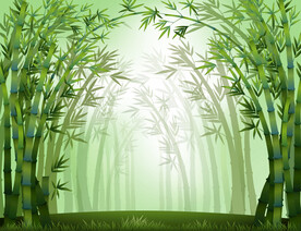 竹林插画