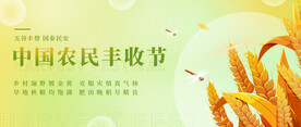 农民小麦丰收节海报