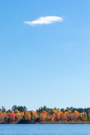 沿岸湖景