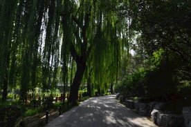 公园风景