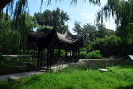 公园风景 