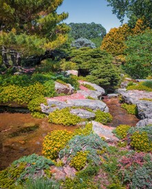 树林中的河流