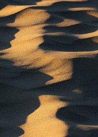 沙丘素材
