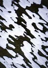 白雪素材